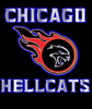 Chicago HellCats Youth Athletics